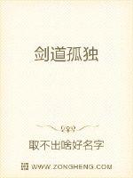 剑道孤独